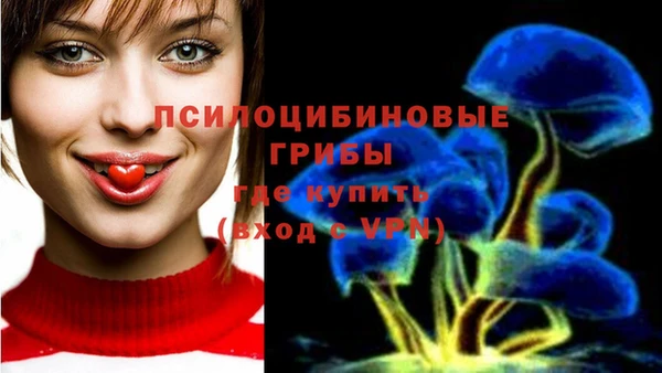 mdpv Касимов