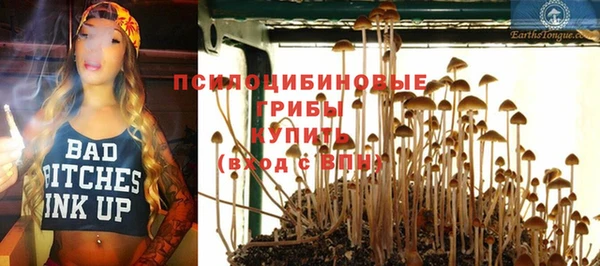 mdpv Касимов