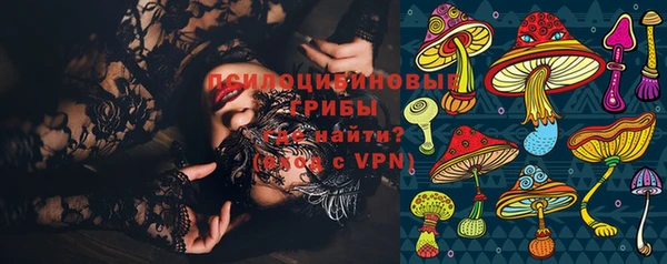 гидра Карталы